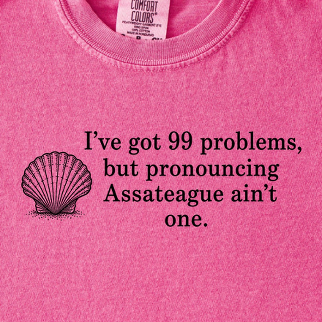 99 Problems Assateague Ain't One Kids Cotton T-Shirt