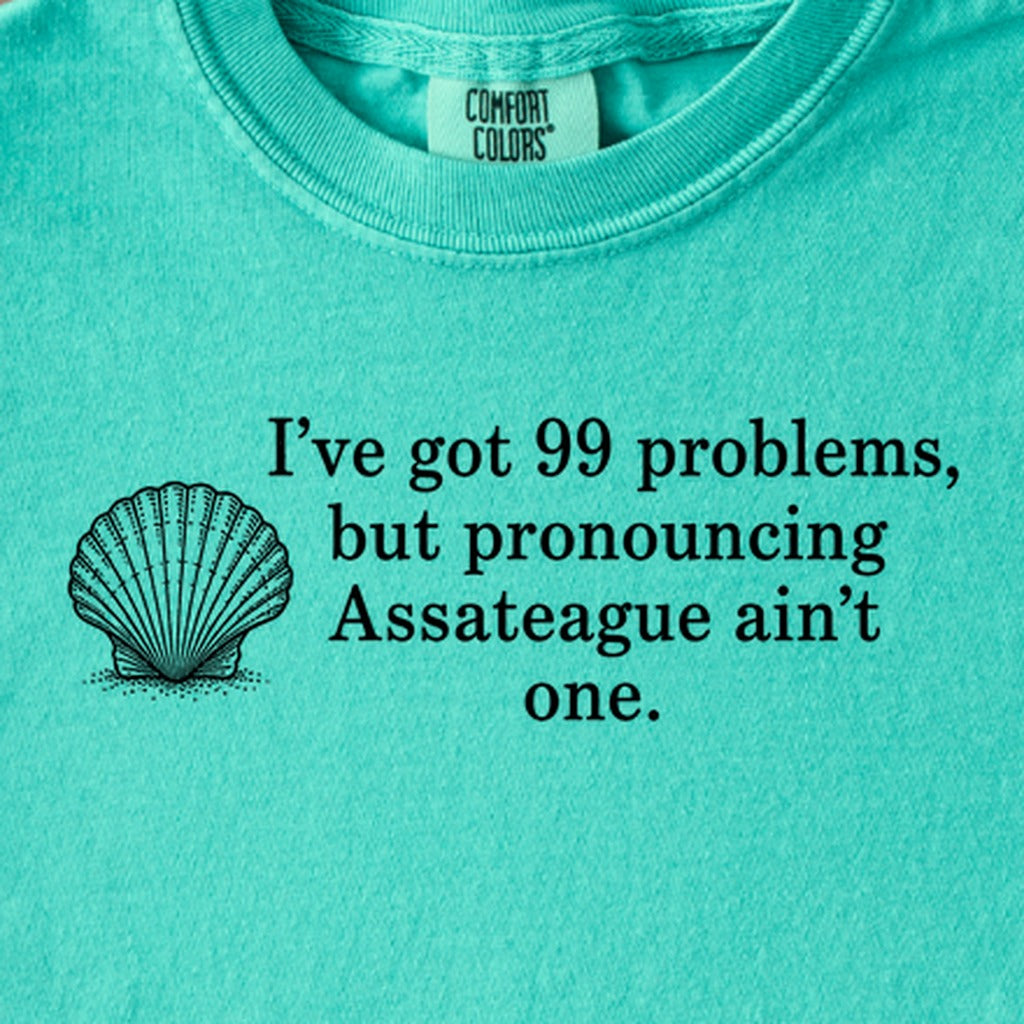 99 Problems Assateague Ain't One Kids Cotton T-Shirt