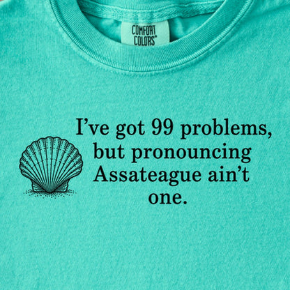 99 Problems Assateague Ain't One Kids Cotton T-Shirt