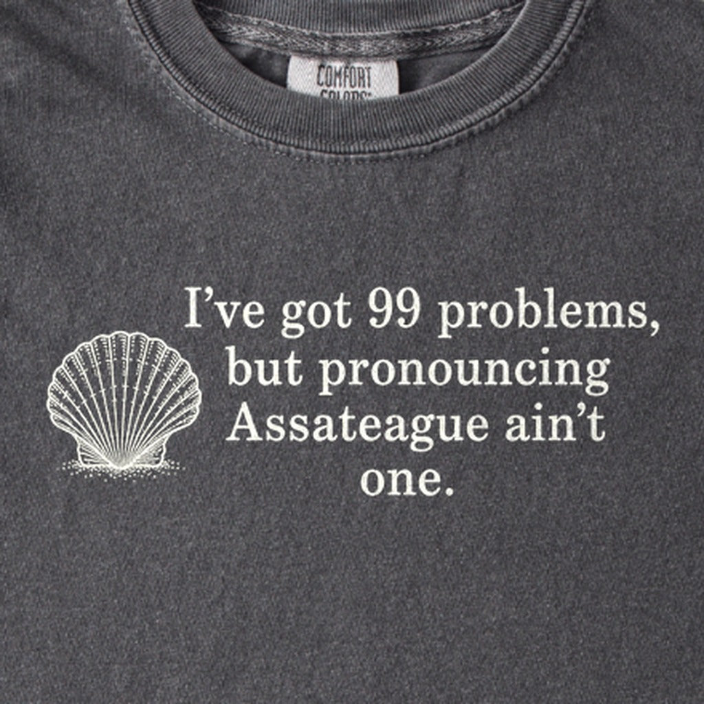 99 Problems Assateague Ain't One Kids Cotton T-Shirt
