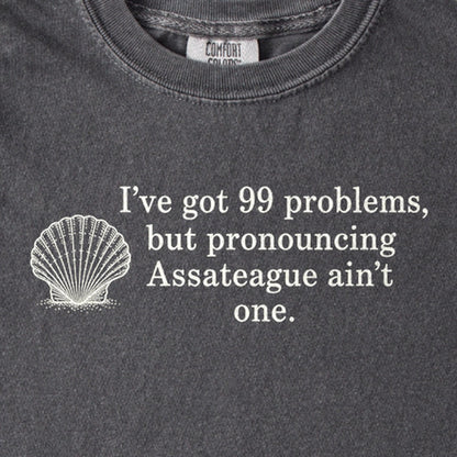 99 Problems Assateague Ain't One Kids Cotton T-Shirt