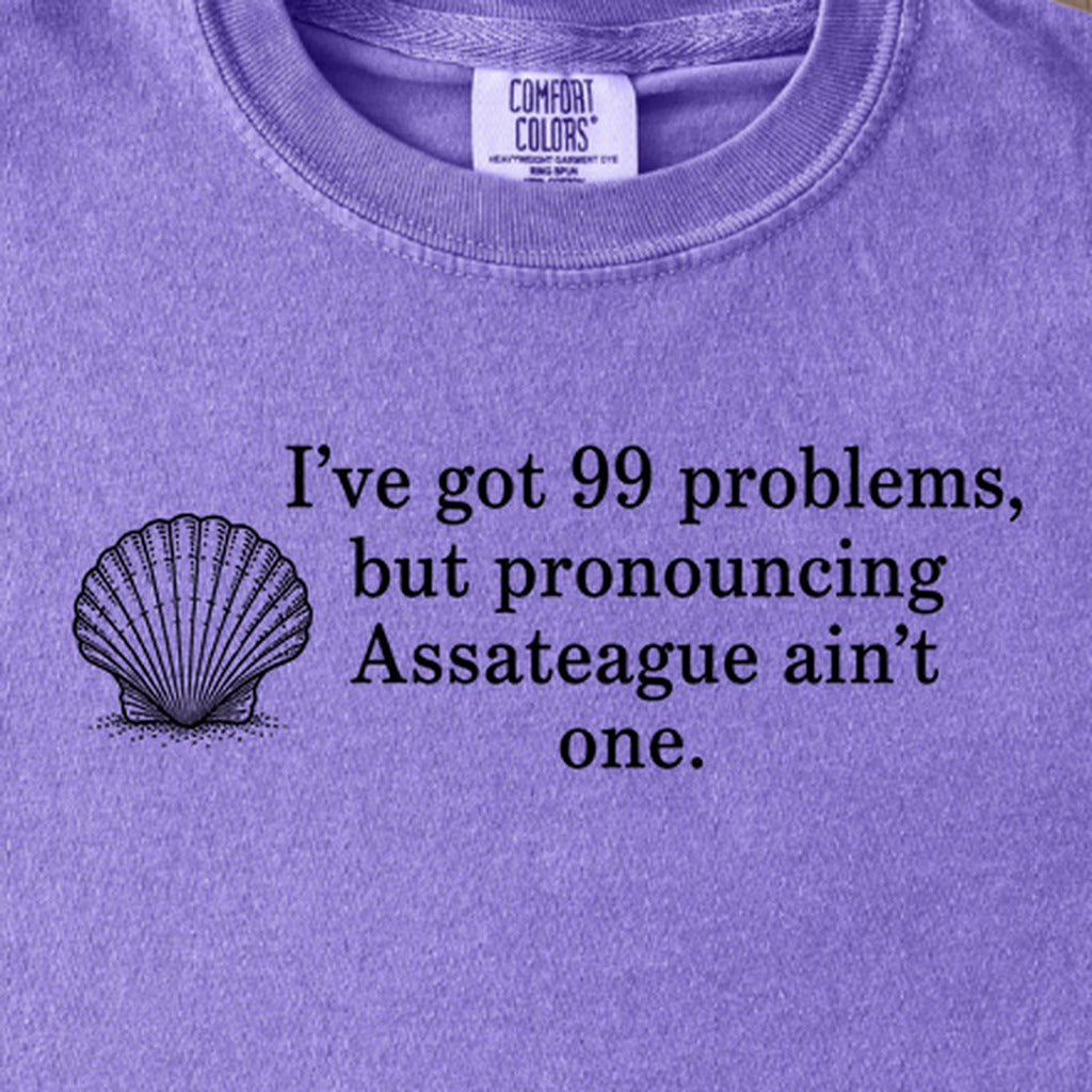 99 Problems Assateague Ain't One Kids Cotton T-Shirt