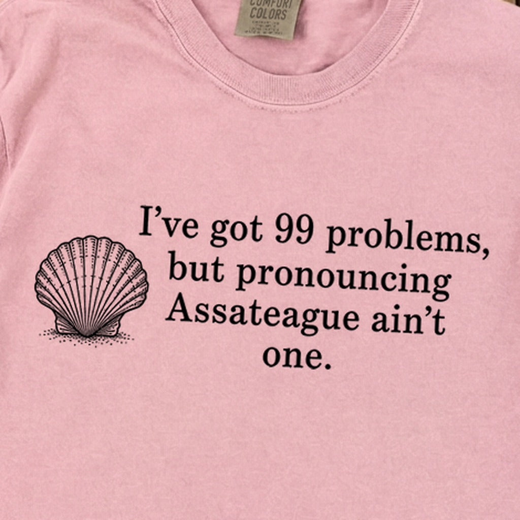 99 Problems Assateague Ain't One Premium Long Sleeve