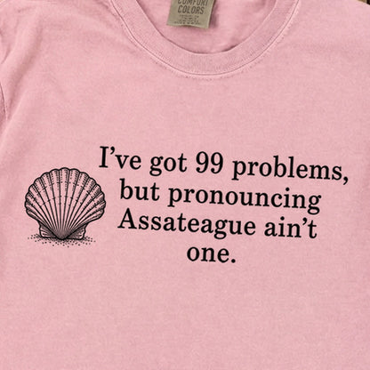 99 Problems Assateague Ain't One Premium Long Sleeve