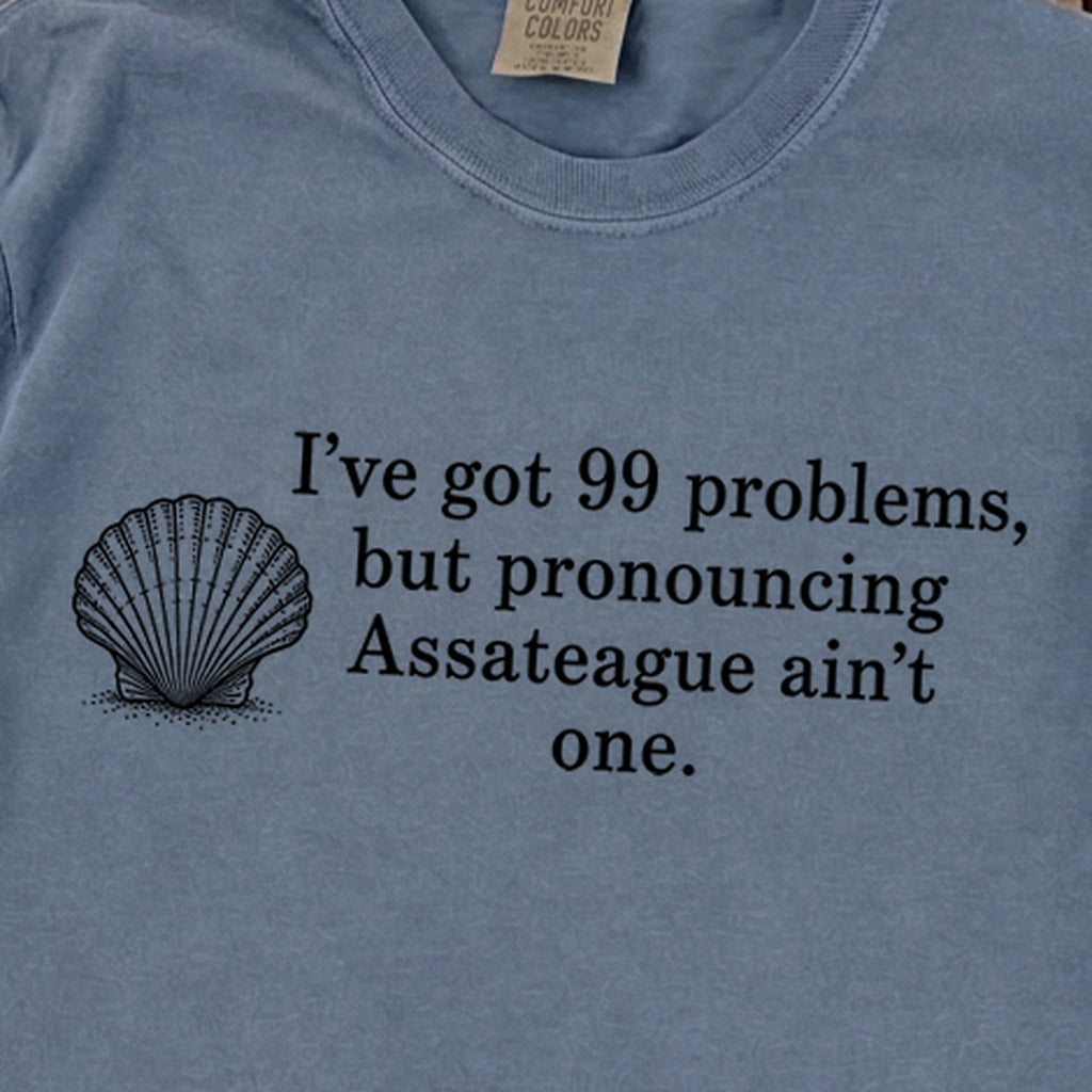 99 Problems Assateague Ain't One Premium Long Sleeve