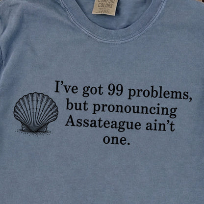 99 Problems Assateague Ain't One Premium Long Sleeve