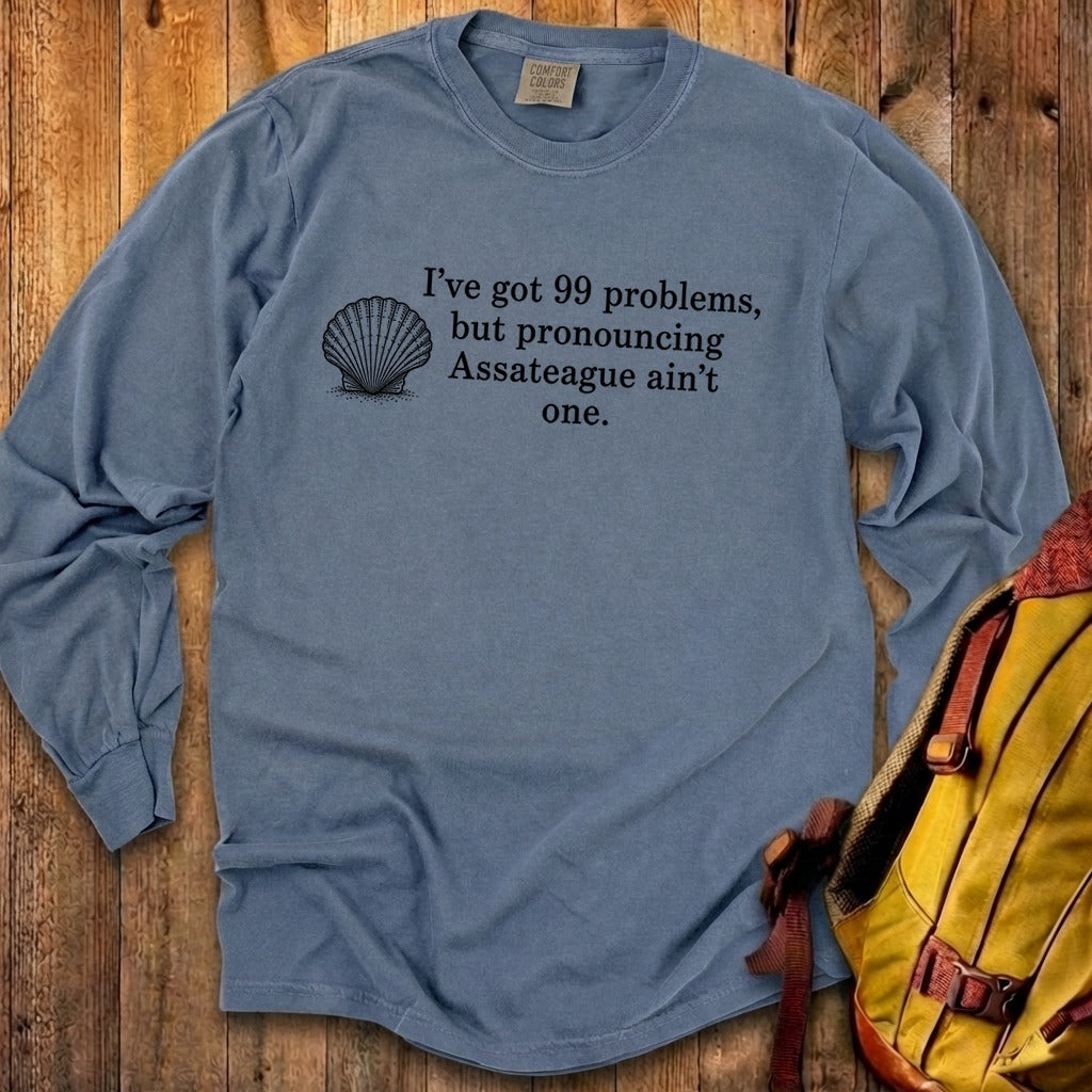 99 Problems Assateague Ain't One Premium Long Sleeve