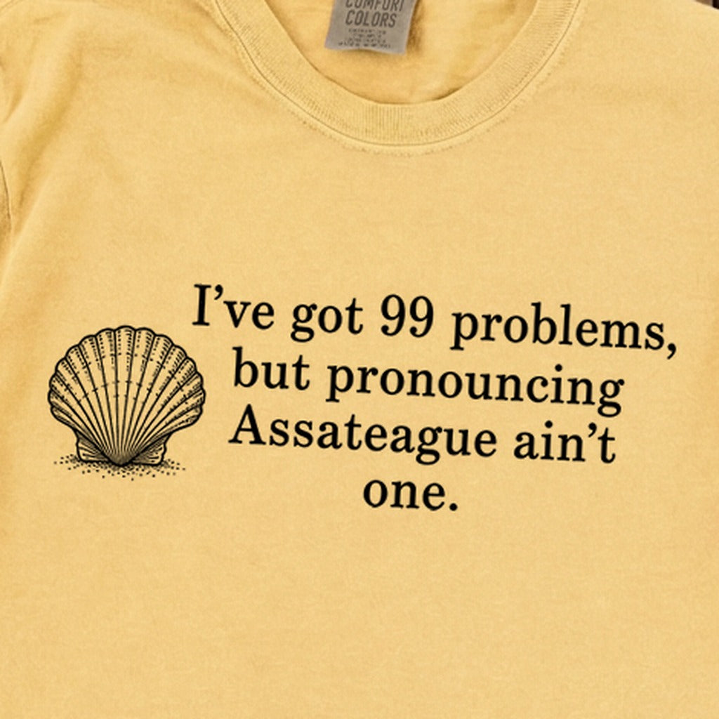 99 Problems Assateague Ain't One Premium Long Sleeve