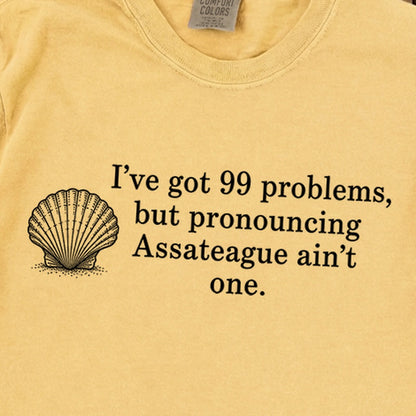 99 Problems Assateague Ain't One Premium Long Sleeve