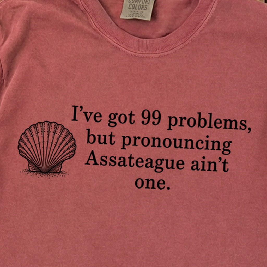 99 Problems Assateague Ain't One Premium Long Sleeve