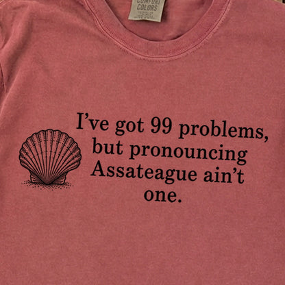 99 Problems Assateague Ain't One Premium Long Sleeve