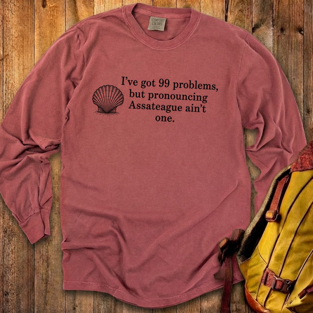 99 Problems Assateague Ain't One Premium Long Sleeve