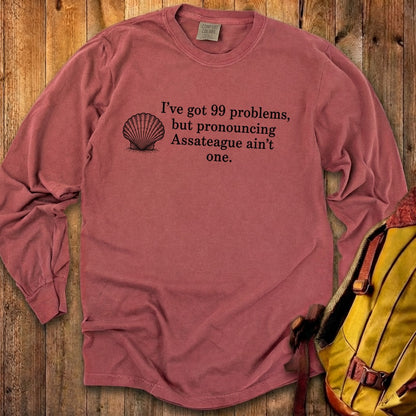 99 Problems Assateague Ain't One Premium Long Sleeve