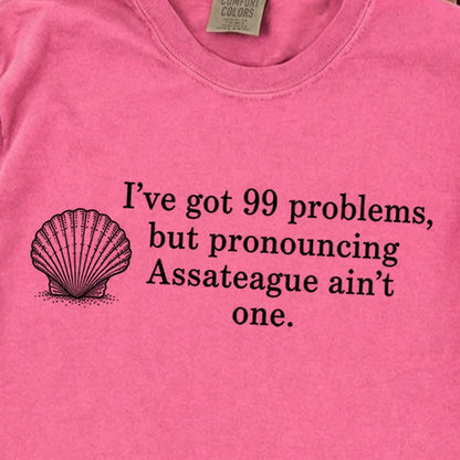 99 Problems Assateague Ain't One Premium Long Sleeve