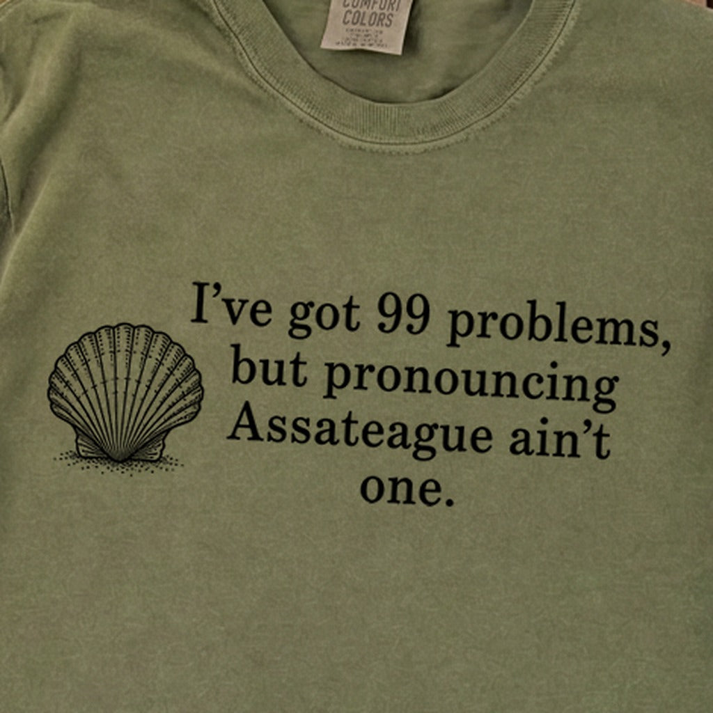 99 Problems Assateague Ain't One Premium Long Sleeve
