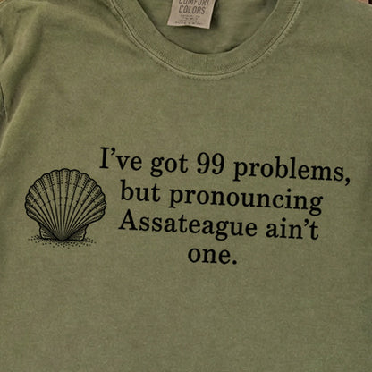 99 Problems Assateague Ain't One Premium Long Sleeve