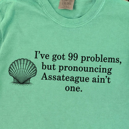 99 Problems Assateague Ain't One Premium Long Sleeve