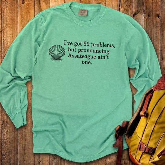 99 Problems Assateague Ain't One Premium Long Sleeve
