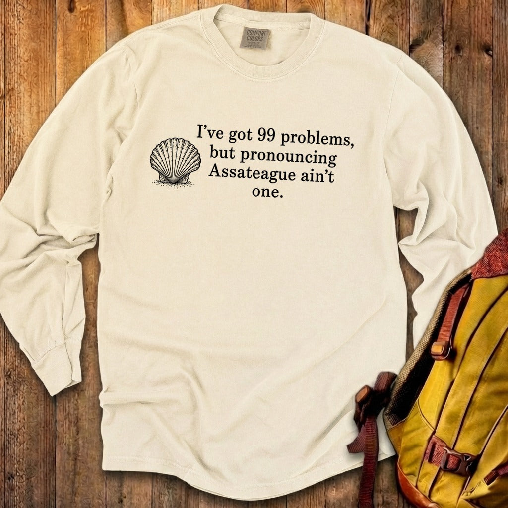 99 Problems Assateague Ain't One Premium Long Sleeve