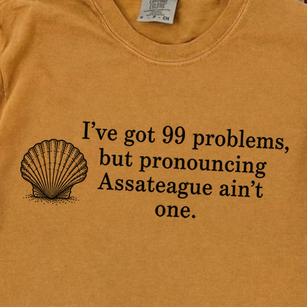 99 Problems Assateague Ain't One Premium Long Sleeve