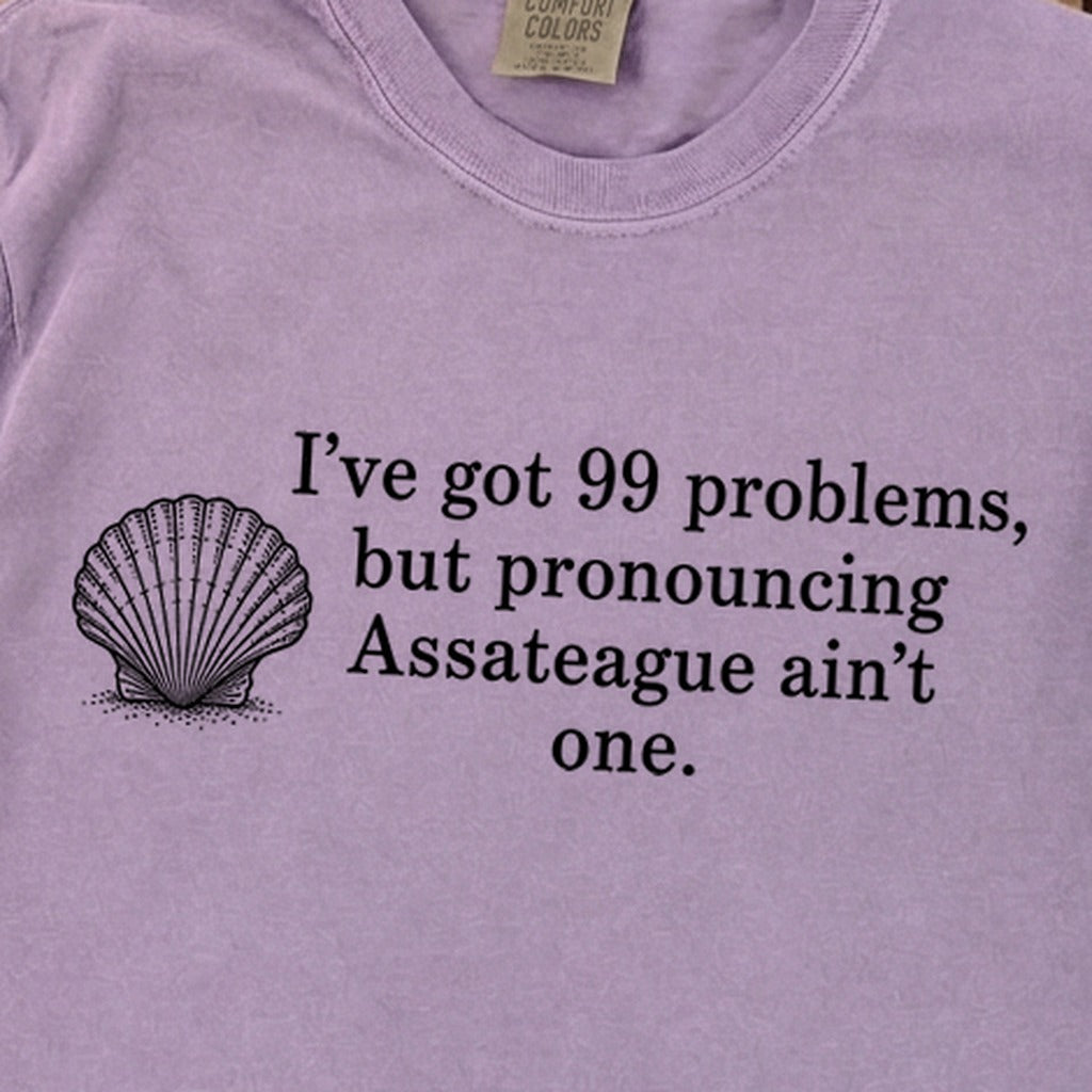 99 Problems Assateague Ain't One Premium Long Sleeve