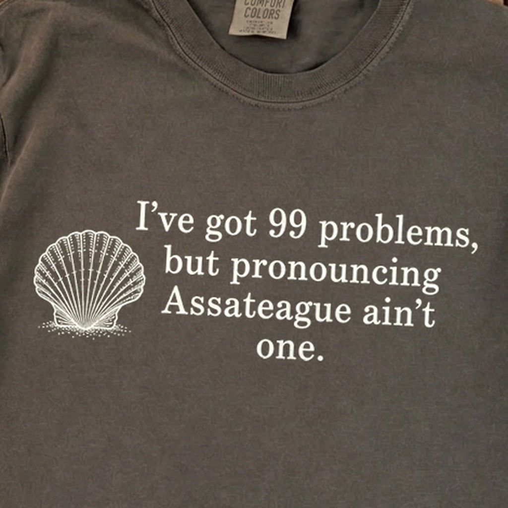 99 Problems Assateague Ain't One Premium Long Sleeve