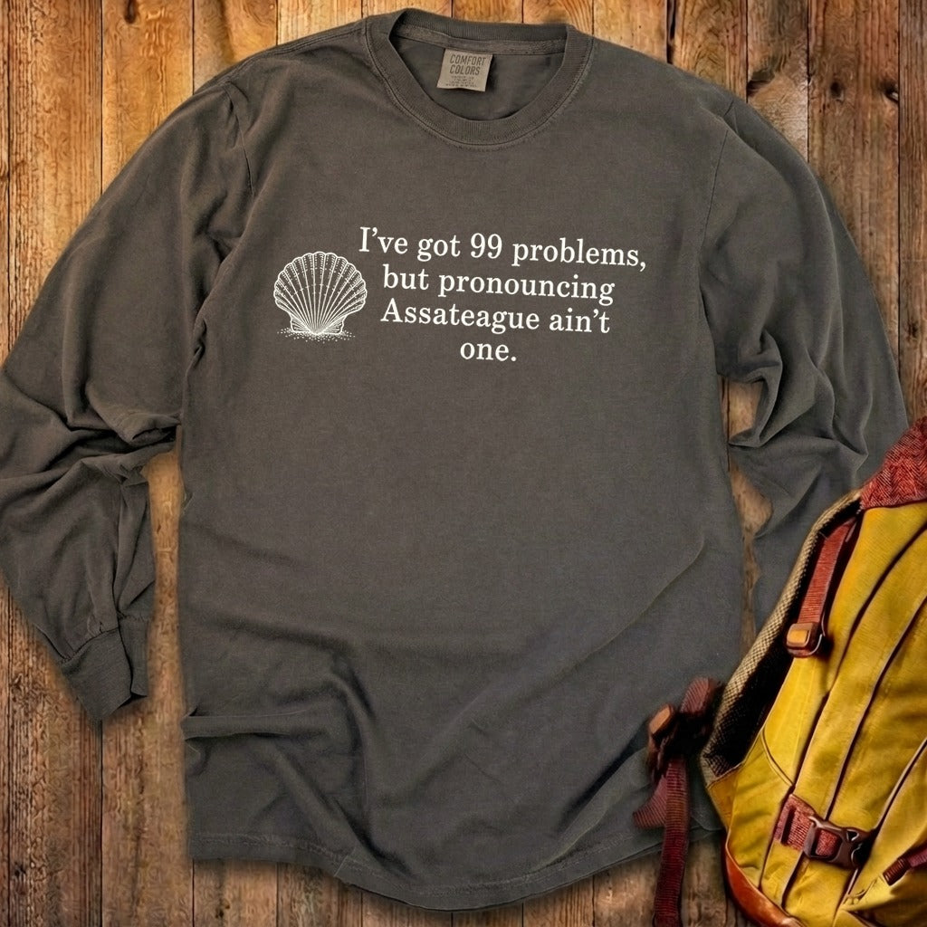 99 Problems Assateague Ain't One Premium Long Sleeve