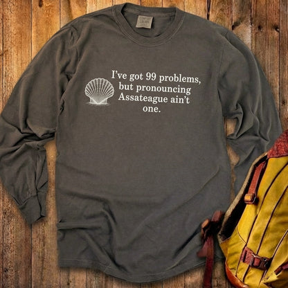 99 Problems Assateague Ain't One Premium Long Sleeve