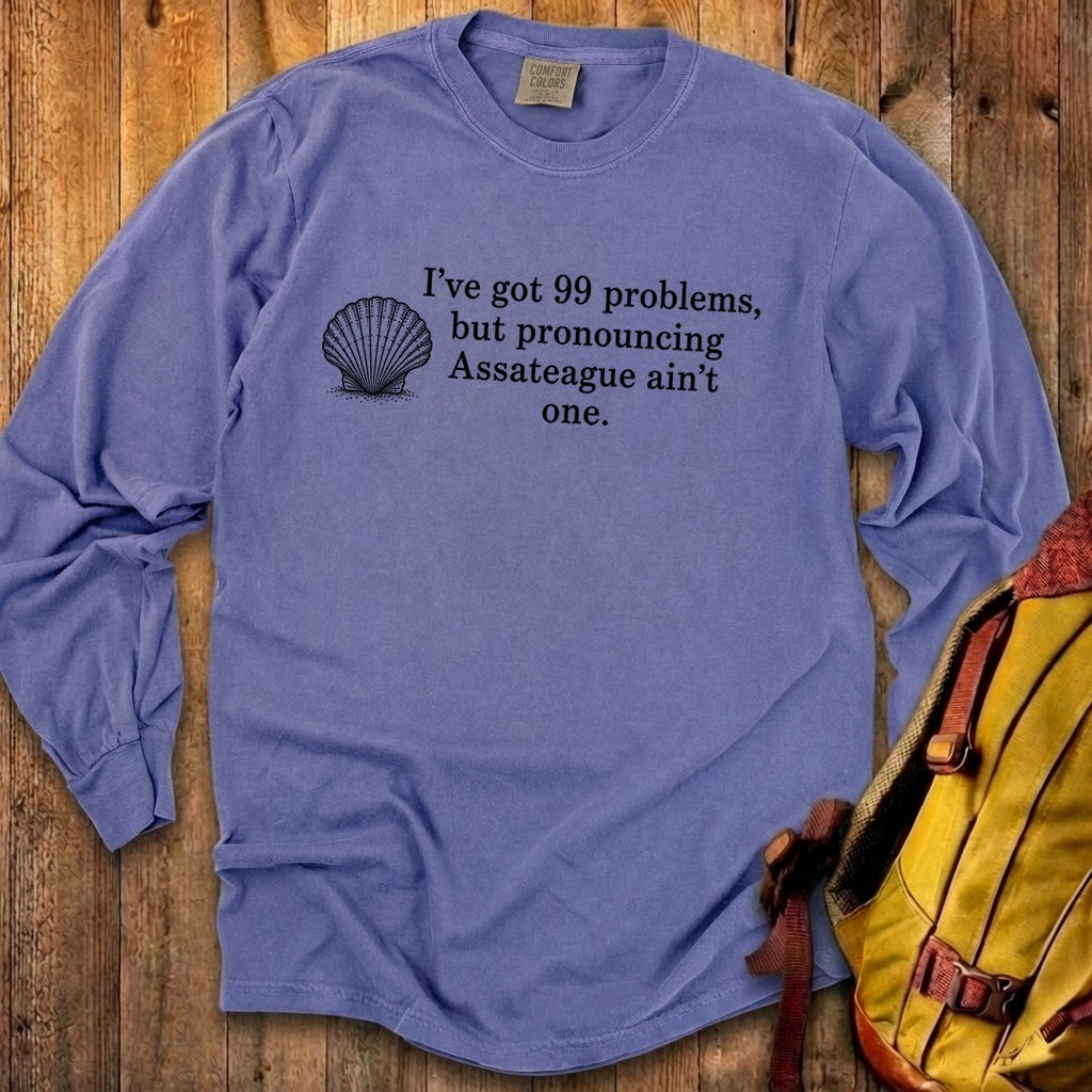 99 Problems Assateague Ain't One Premium Long Sleeve