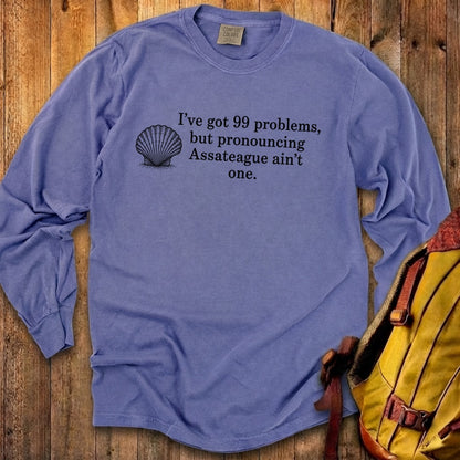 99 Problems Assateague Ain't One Premium Long Sleeve