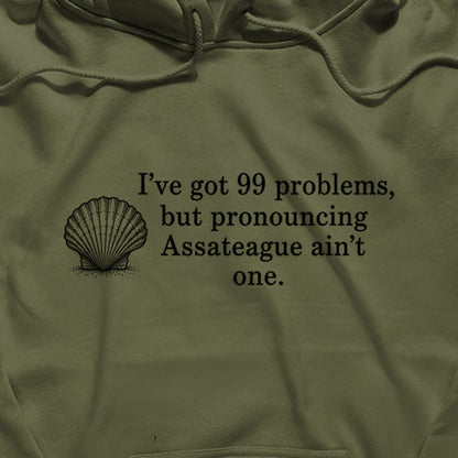 99 Problems Assateague Ain't One Hoodie