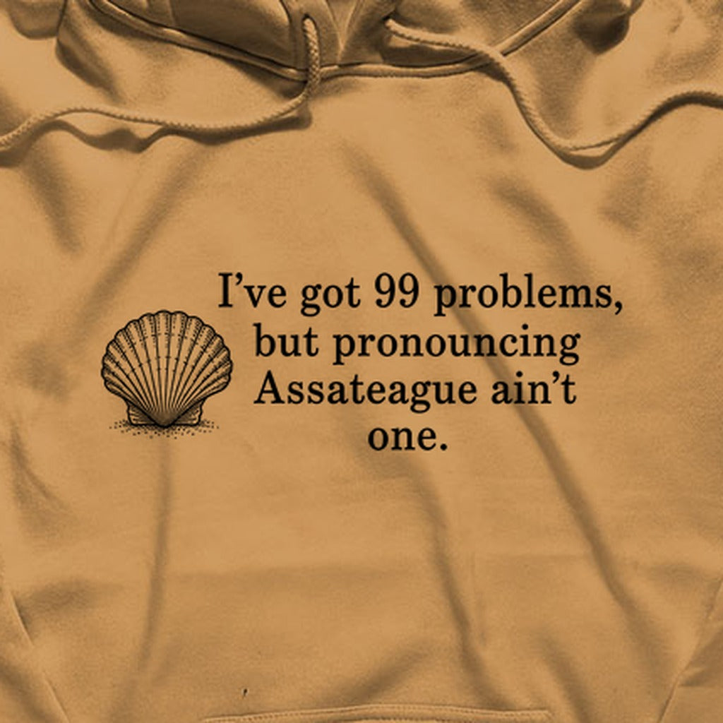 99 Problems Assateague Ain't One Hoodie