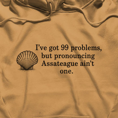 99 Problems Assateague Ain't One Hoodie
