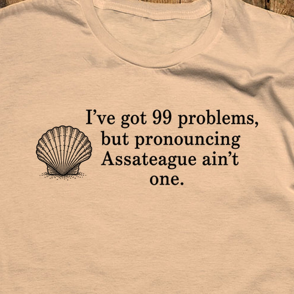 99 Problems Assateague Ain't One T-Shirt