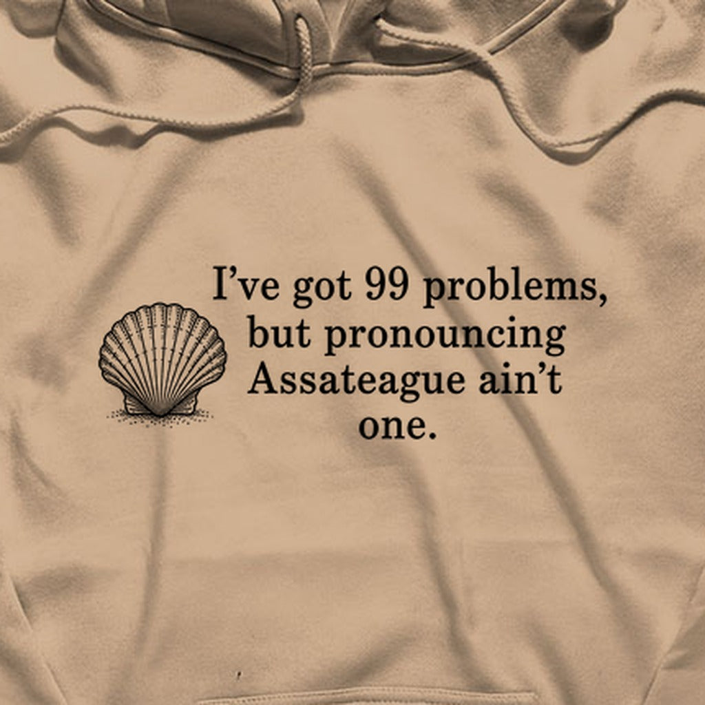 99 Problems Assateague Ain't One Hoodie