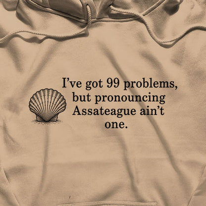 99 Problems Assateague Ain't One Hoodie