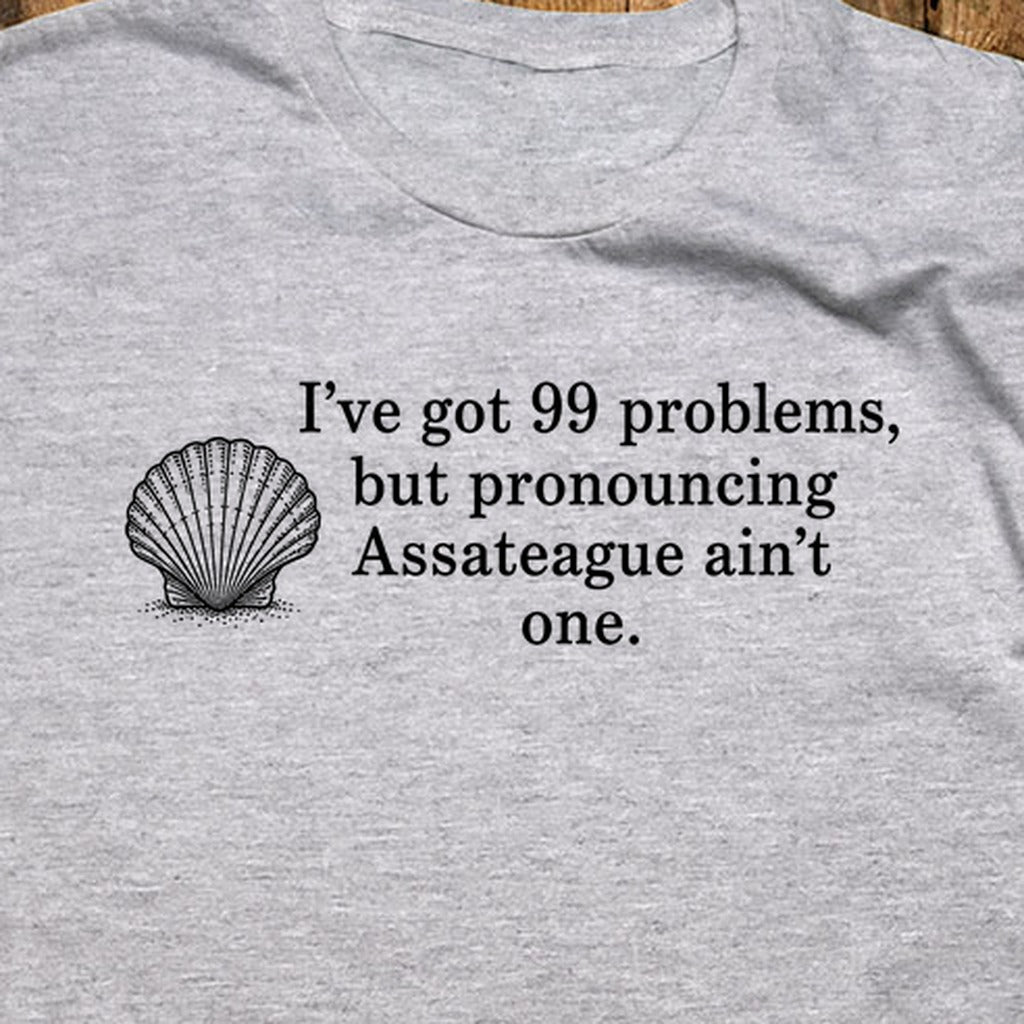 99 Problems Assateague Ain't One T-Shirt