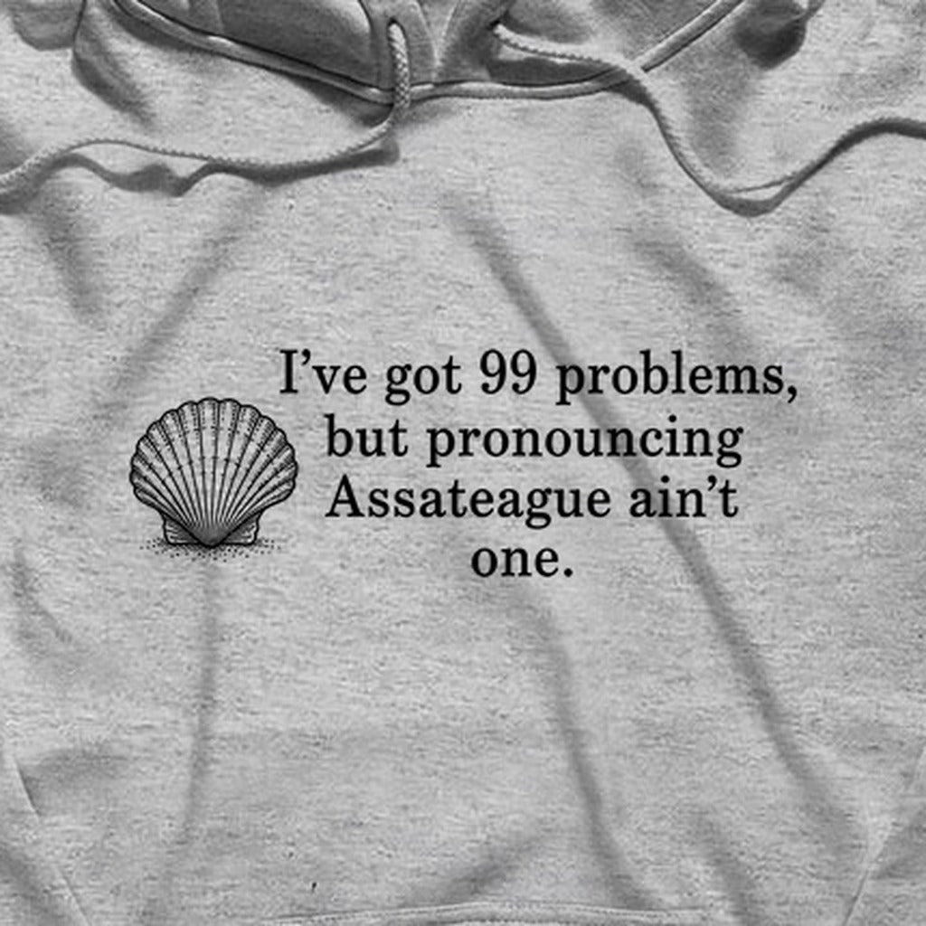 99 Problems Assateague Ain't One Hoodie