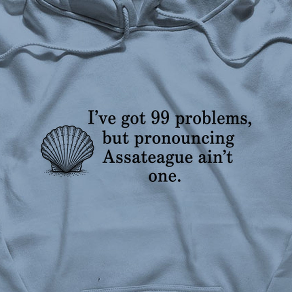 99 Problems Assateague Ain't One Hoodie