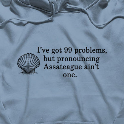 99 Problems Assateague Ain't One Hoodie