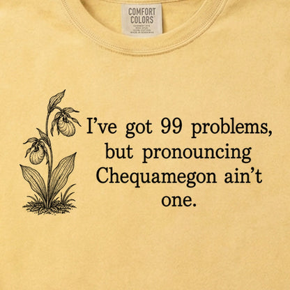 99 Problems Chequamegon Ain't One Cotton T-Shirt