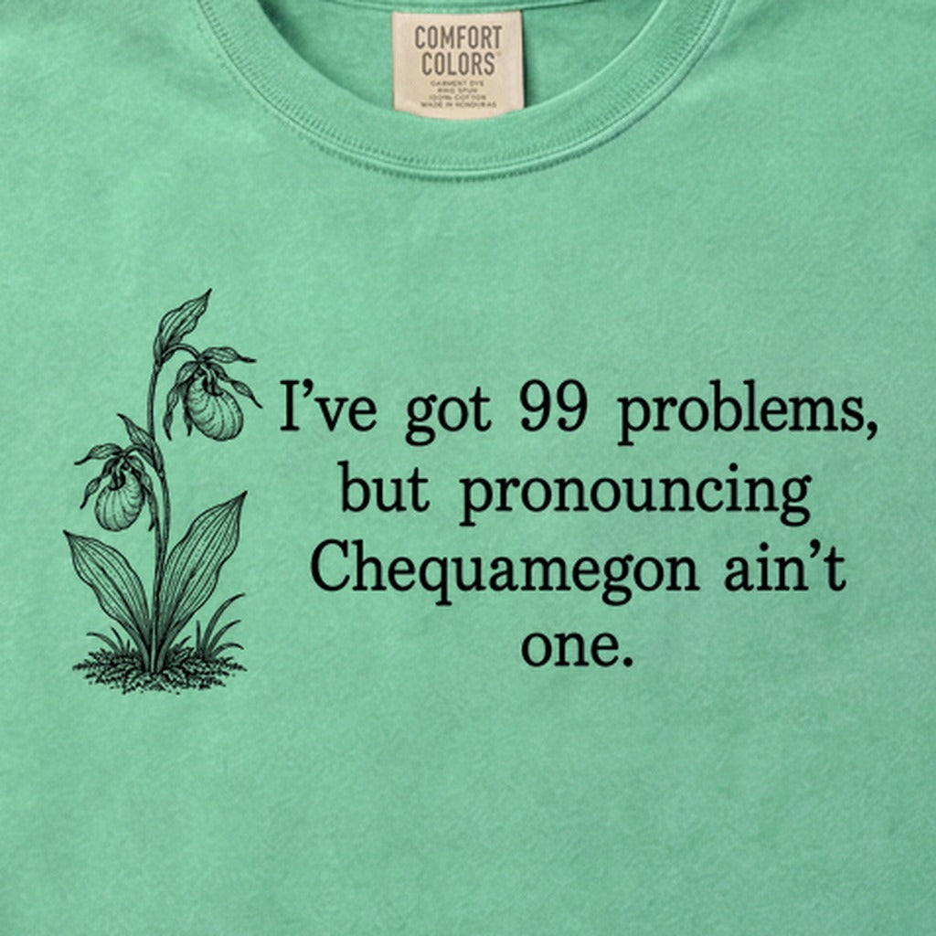 99 Problems Chequamegon Ain't One Cotton T-Shirt