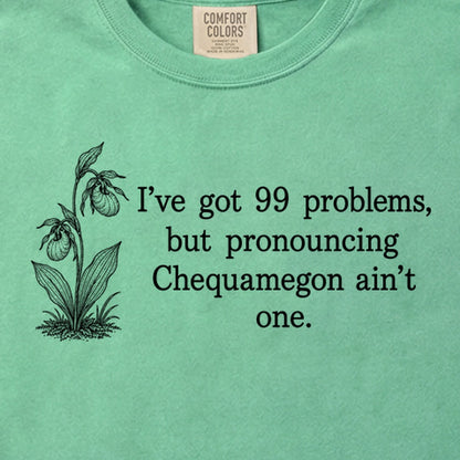99 Problems Chequamegon Ain't One Cotton T-Shirt