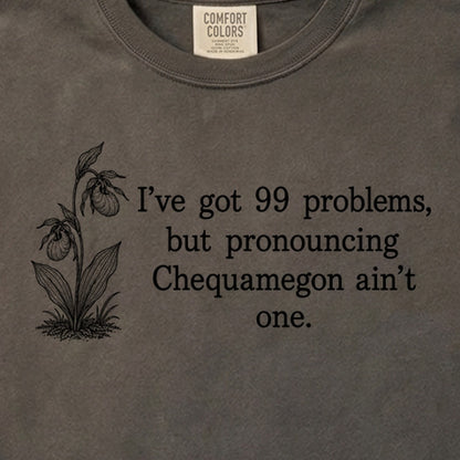 99 Problems Chequamegon Ain't One Cotton T-Shirt