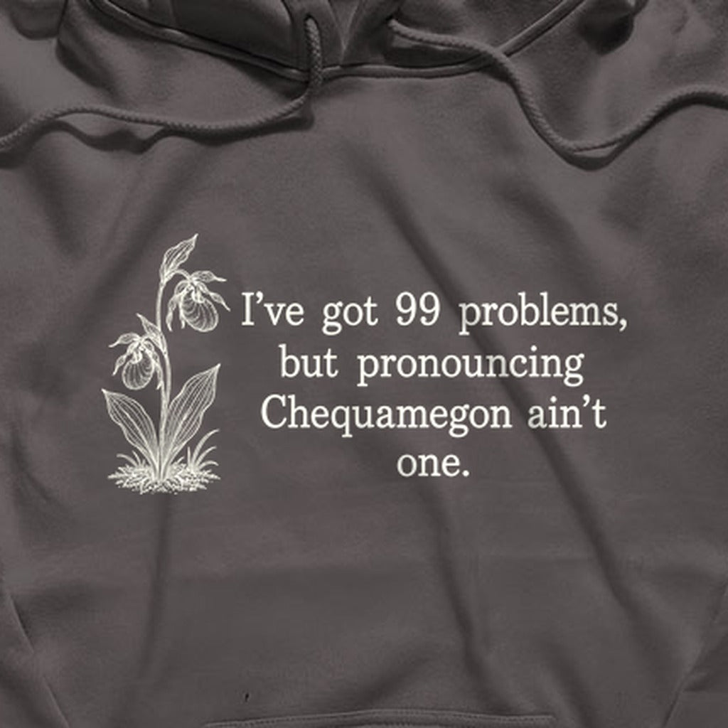 99 Problems Chequamegon Ain't One Hoodie