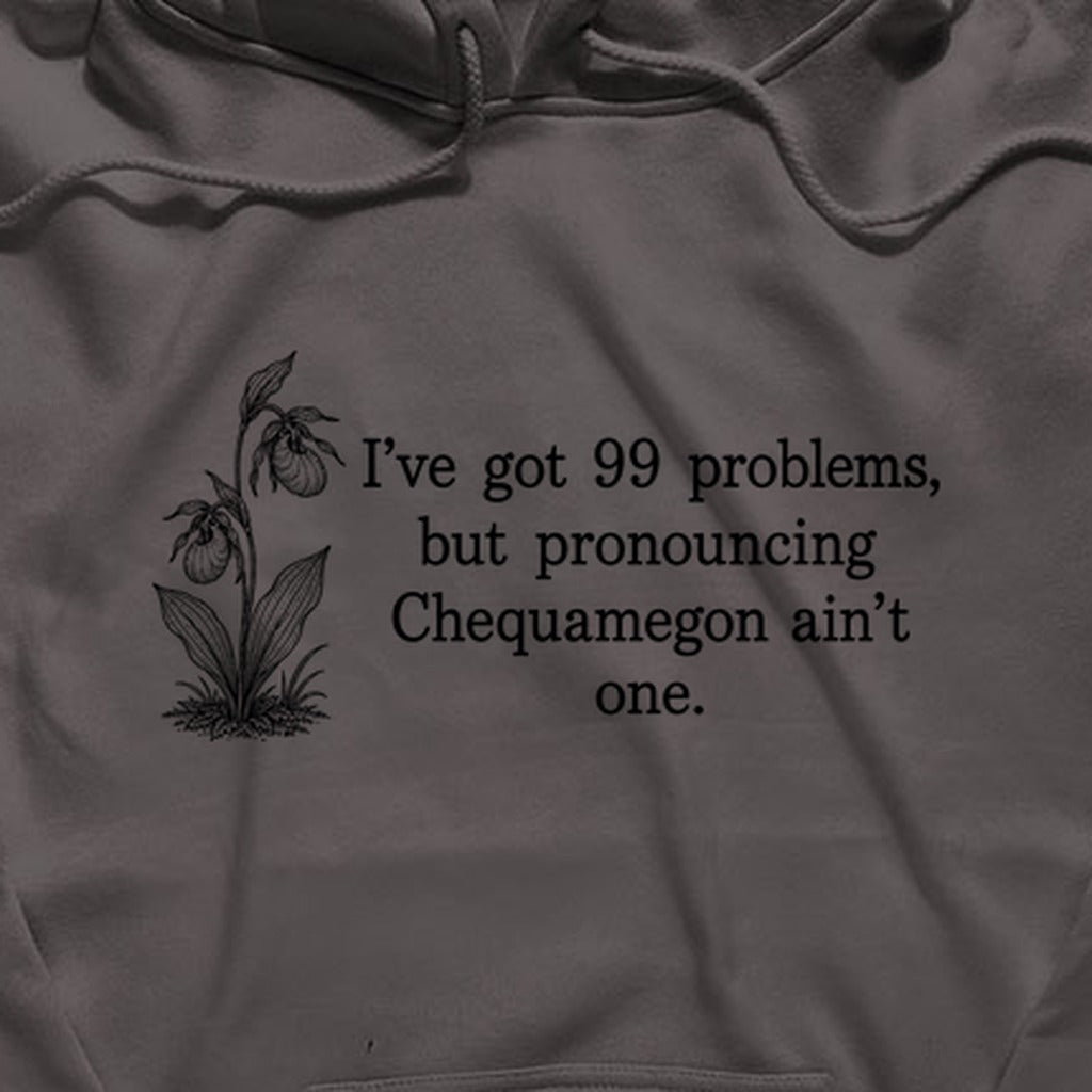 99 Problems Chequamegon Ain't One Hoodie