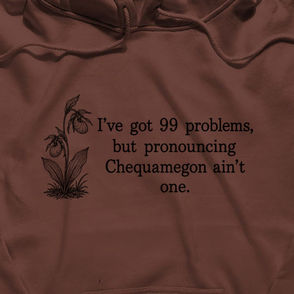99 Problems Chequamegon Ain't One Hoodie