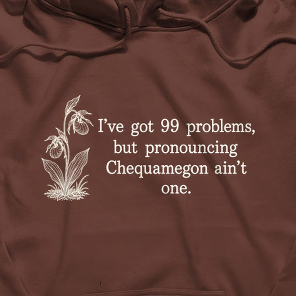 99 Problems Chequamegon Ain't One Hoodie