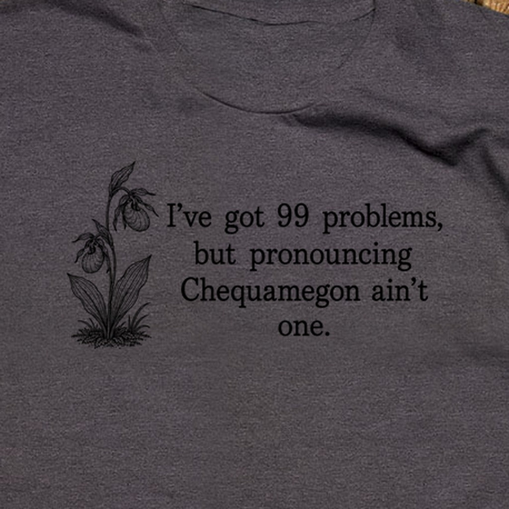 99 Problems Chequamegon Ain't One T-Shirt