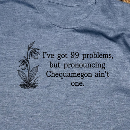 99 Problems Chequamegon Ain't One T-Shirt